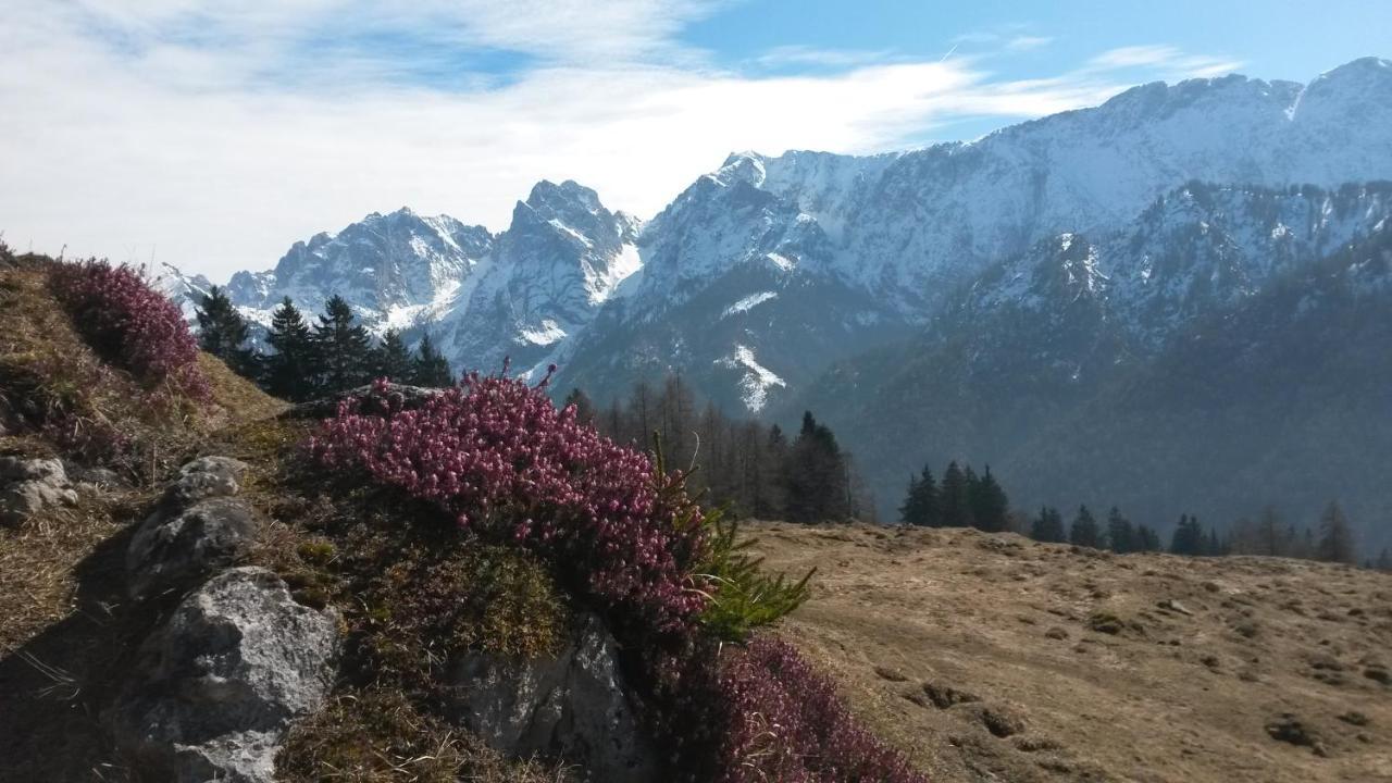 Haus Tirol Lejlighed Thiersee Eksteriør billede
